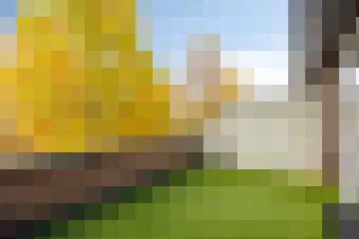 Catharina van Rennesstraat 18 Deventer thumbnail 22