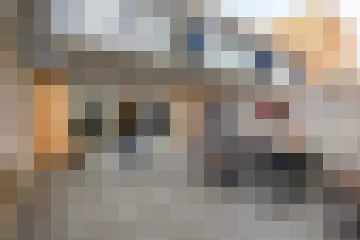 Catharina van Rennesstraat 18 Deventer thumbnail 24