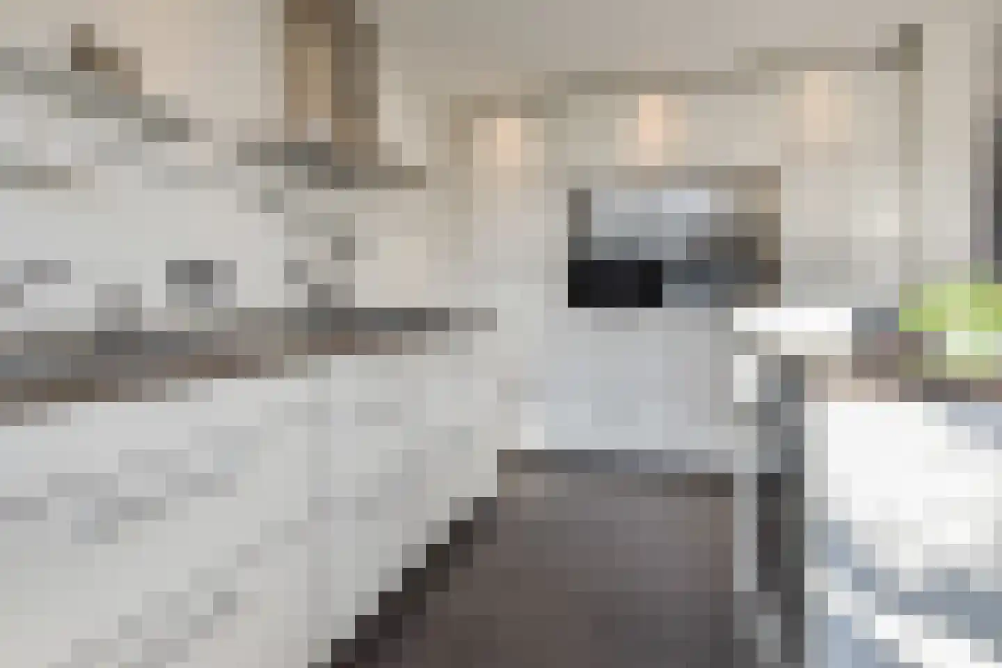 Catharina van Rennesstraat 20 Den Haag thumbnail 7