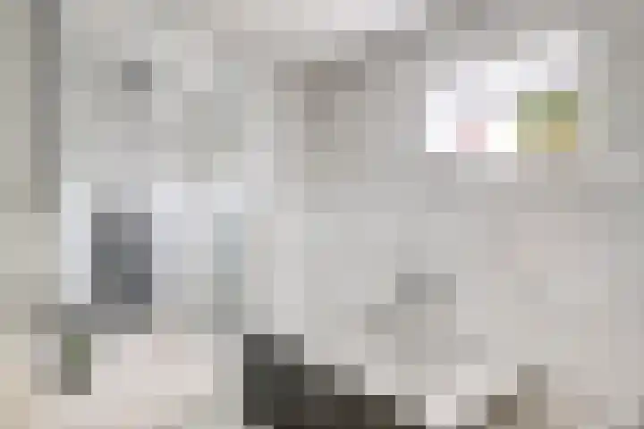 Catharina van Rennesstraat 20 Hoofddorp thumbnail 16