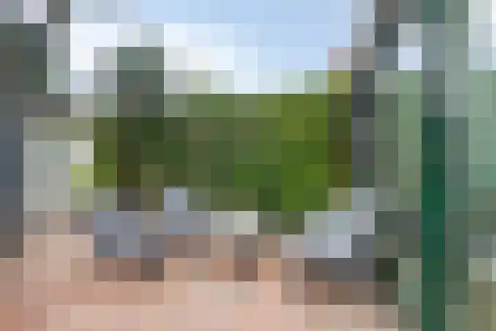 Catharina van Rennesstraat 20 Hoofddorp thumbnail 23