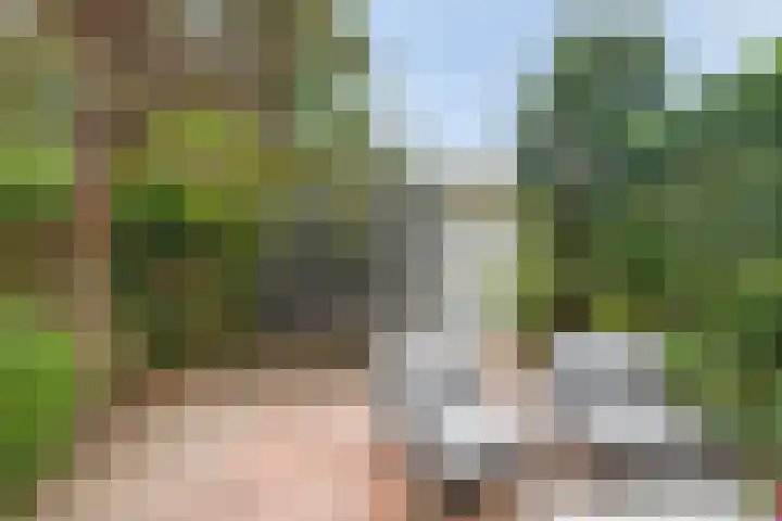 Catharina van Rennesstraat 20 Hoofddorp thumbnail 24