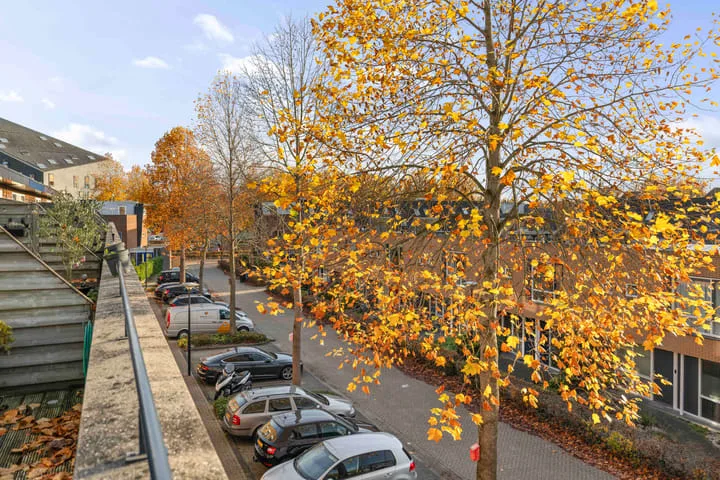 Catharina van Rennesstraat 24 Deventer thumbnail 28