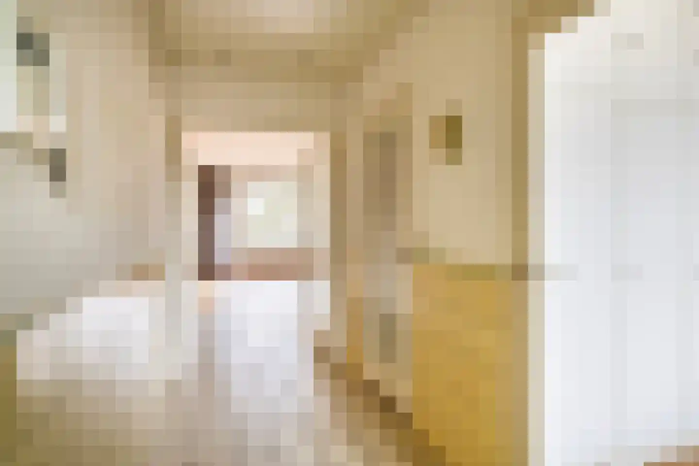 Catharina van Rennesstraat 62 Den Haag thumbnail 20