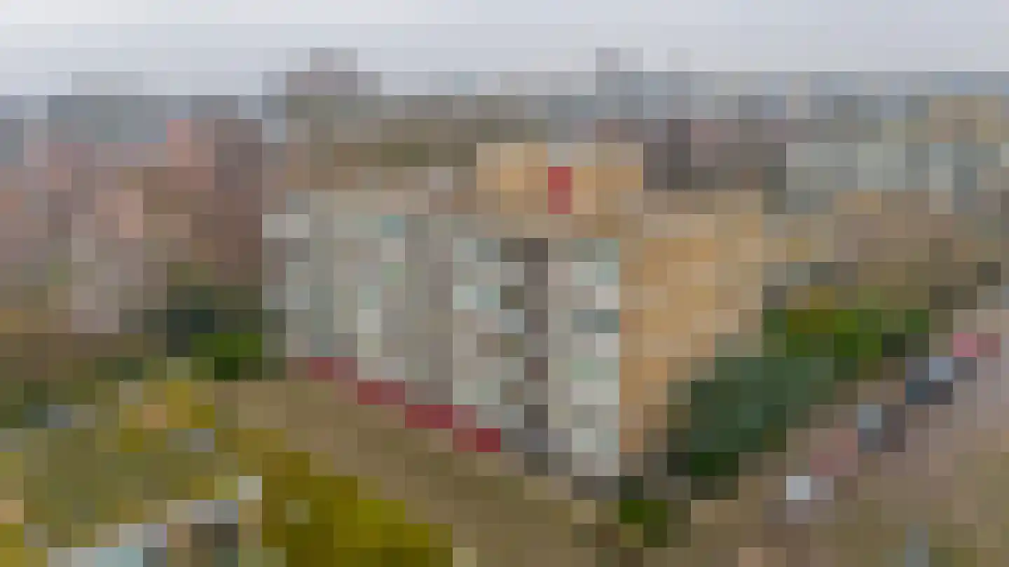 Catharina van Rennesstraat 62 Den Haag thumbnail 44