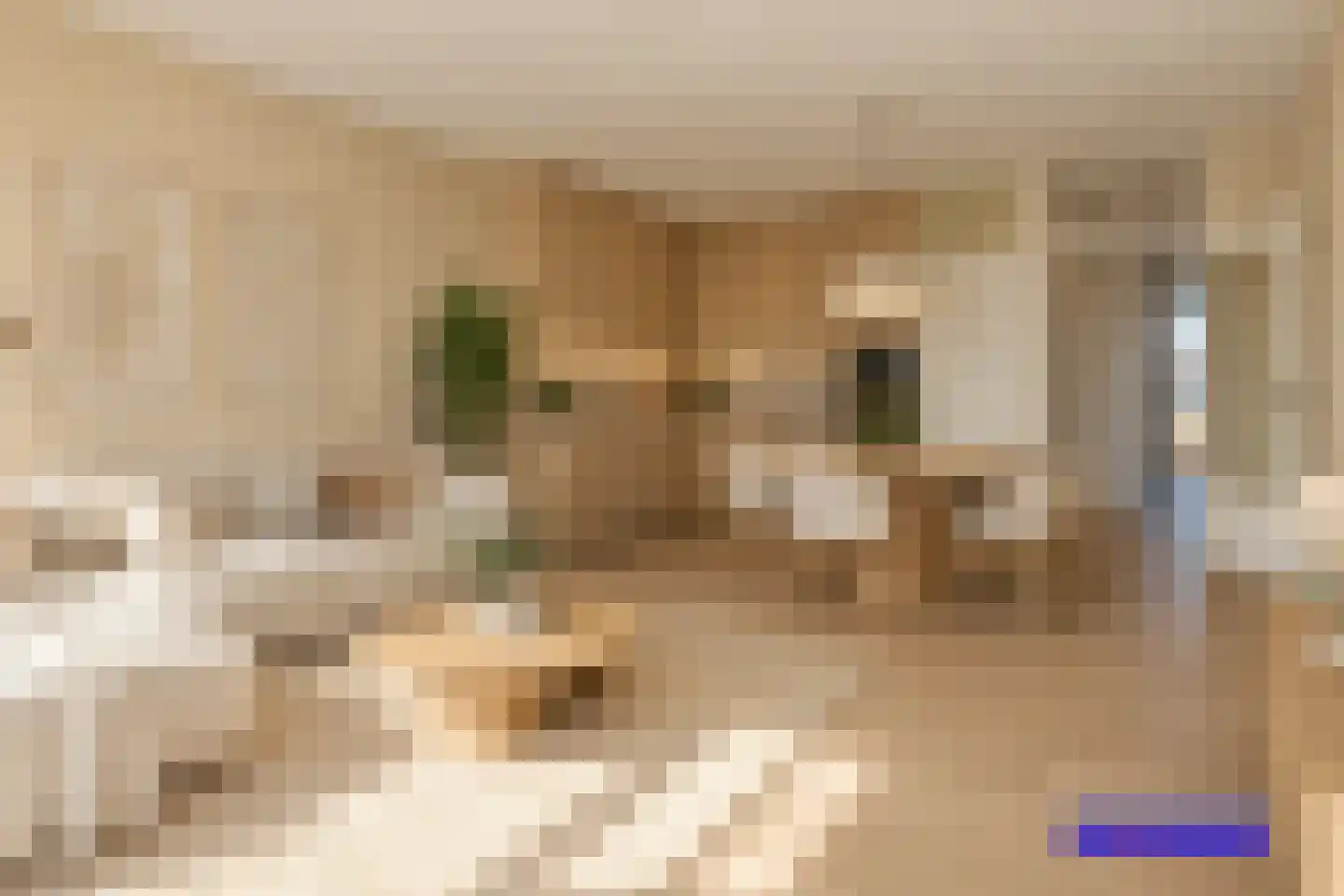 Catharina van Rennesstraat 72 Den Haag thumbnail 4