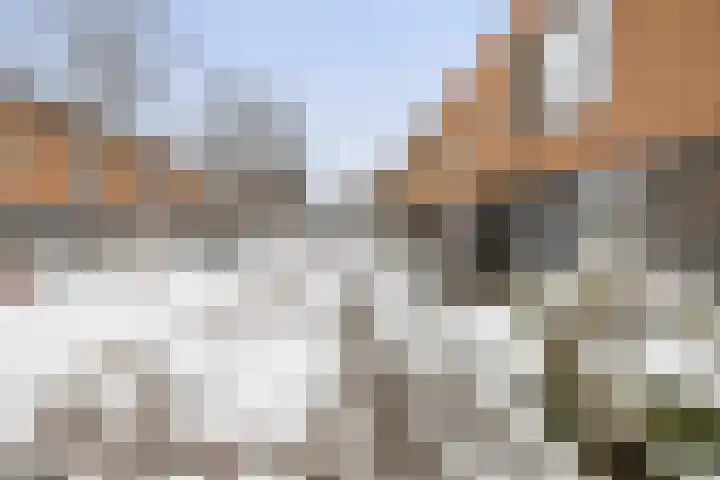 Catharina van Rennesstraat 9 Deventer thumbnail 24
