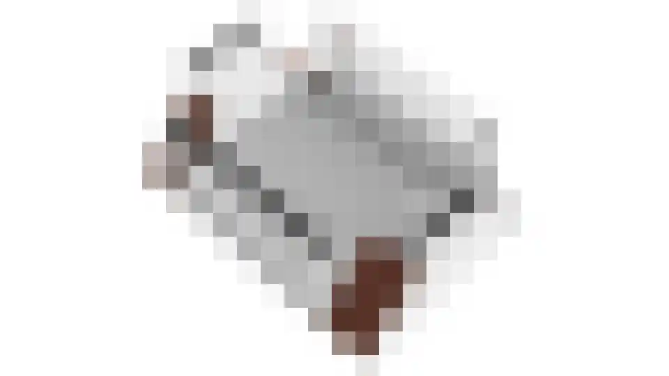 Catharina van Tussenbroekstraat 5 Spijkenisse thumbnail 19