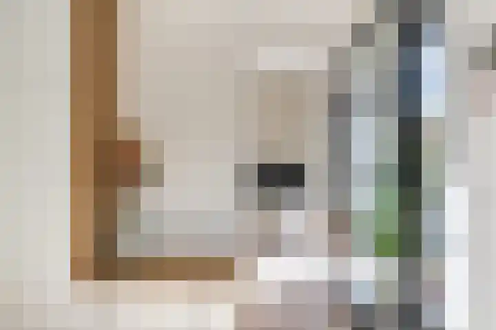 Catharina van Zoelenstraat 25 Rotterdam thumbnail 11