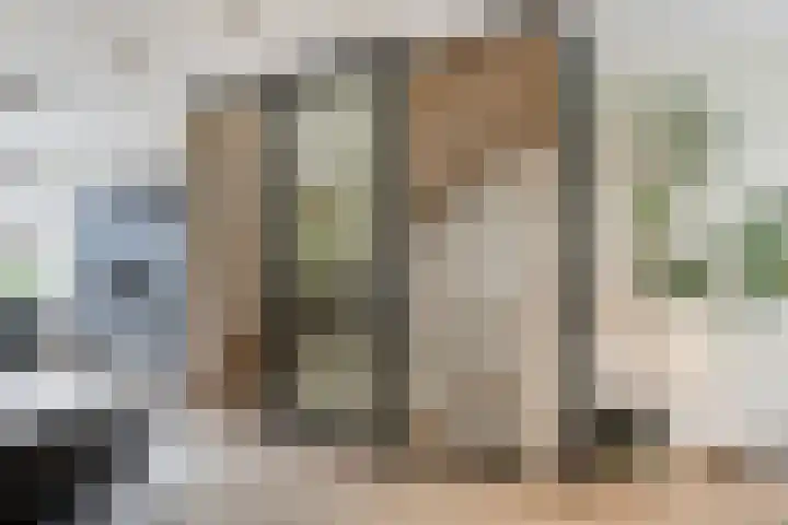 Catharina van Zoelenstraat 25 Rotterdam thumbnail 14
