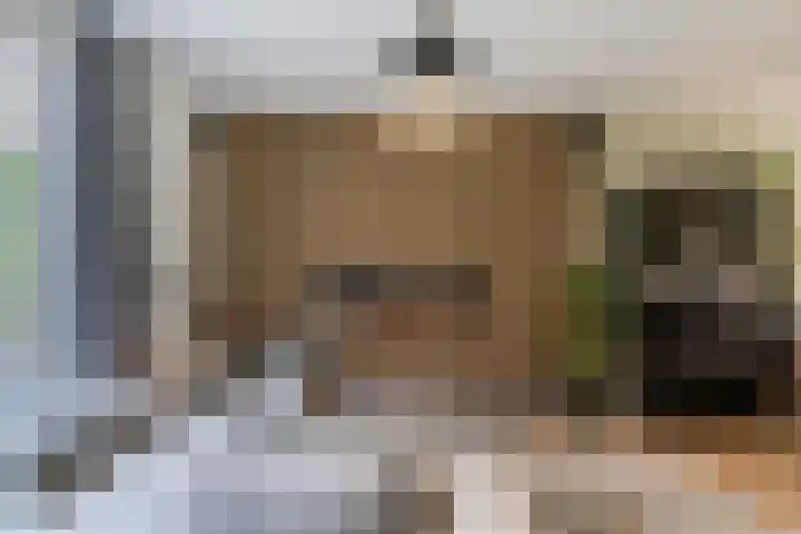 Catharina van Zoelenstraat 25 Rotterdam thumbnail 15