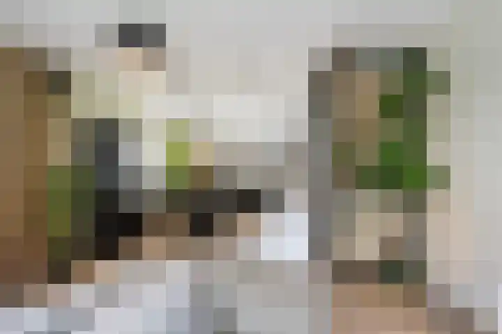 Catharina van Zoelenstraat 25 Rotterdam thumbnail 16