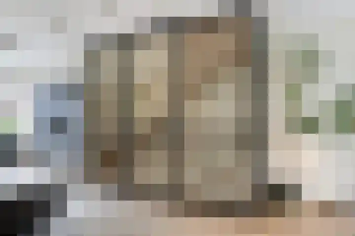 Catharina van Zoelenstraat 25 Rotterdam thumbnail 17