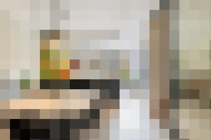 Catharina van Zoelenstraat 25 Rotterdam thumbnail 18