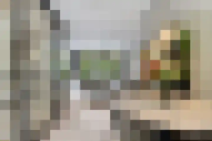 Catharina van Zoelenstraat 25 Rotterdam thumbnail 19