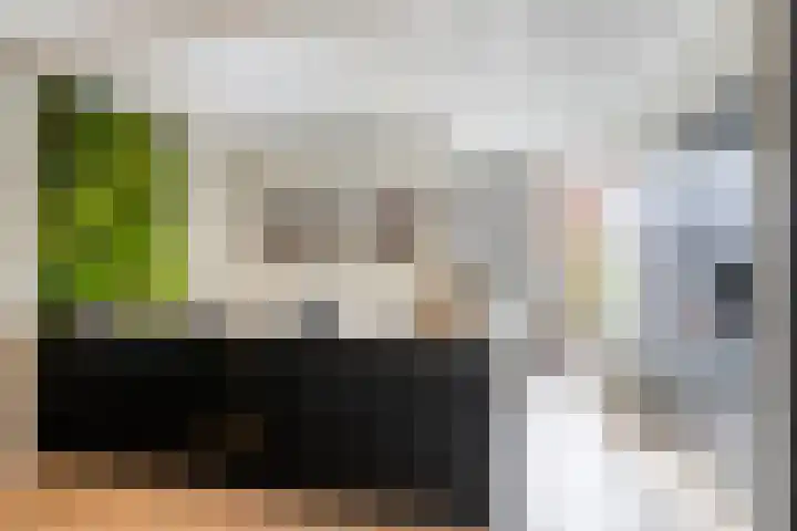 Catharina van Zoelenstraat 25 Rotterdam thumbnail 20