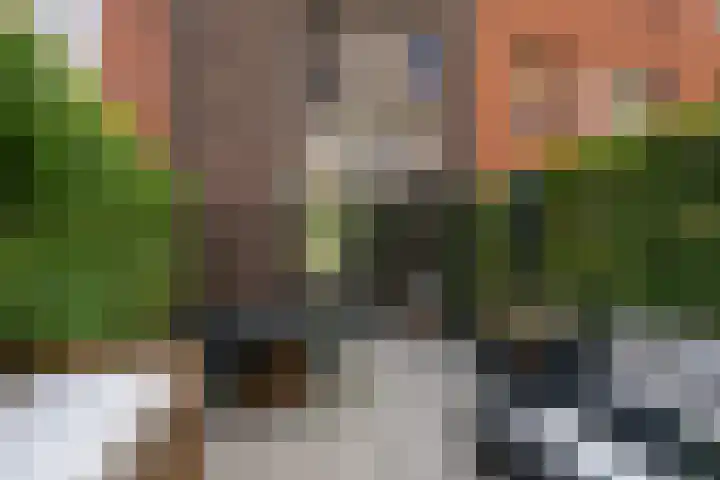 Catharina van Zoelenstraat 25 Rotterdam thumbnail 21