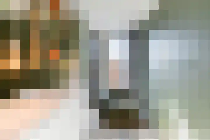 Catharina van Zoelenstraat 25 Rotterdam thumbnail 24