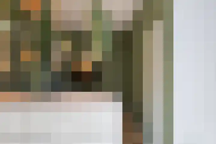 Catharina van Zoelenstraat 25 Rotterdam thumbnail 25