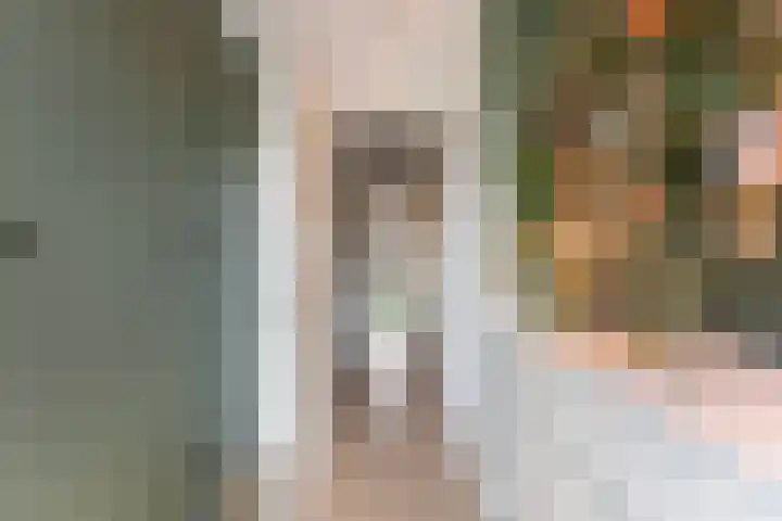Catharina van Zoelenstraat 25 Rotterdam thumbnail 26