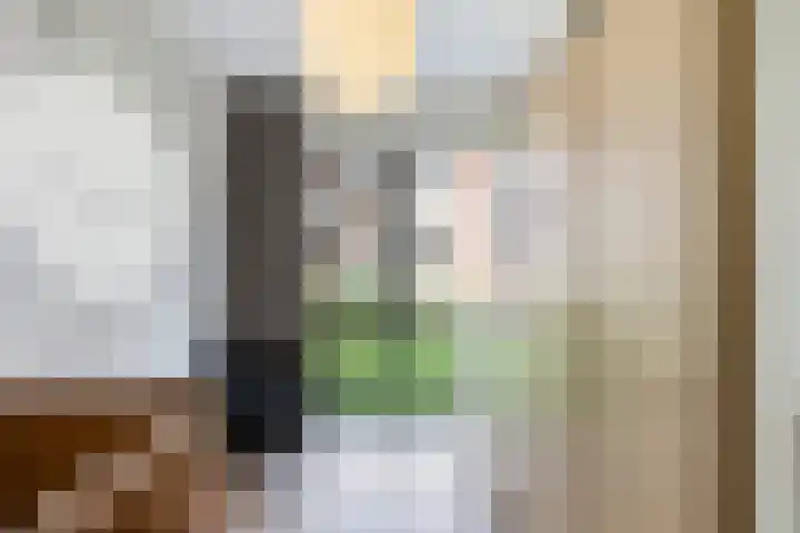 Catharina van Zoelenstraat 25 Rotterdam thumbnail 28