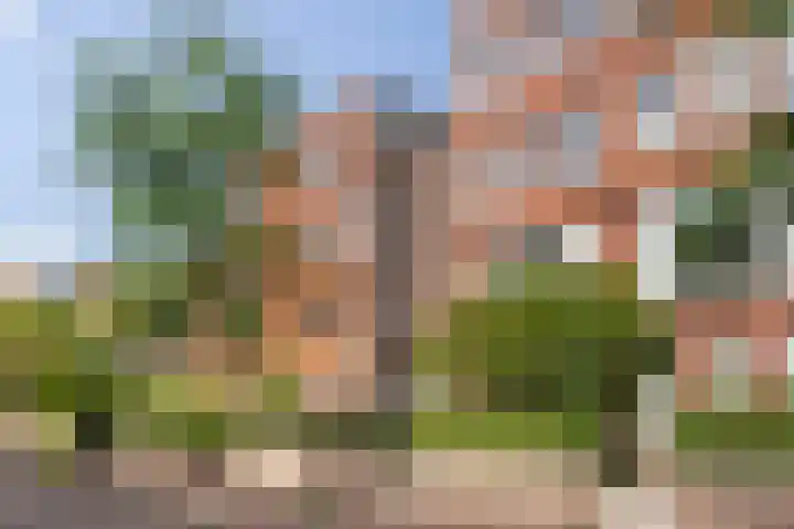Catharina van Zoelenstraat 25 Rotterdam thumbnail 38