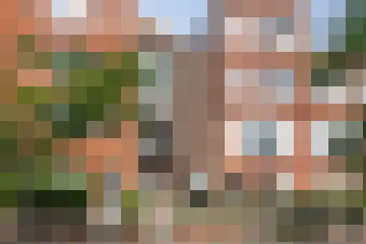 Catharina van Zoelenstraat 25 Rotterdam thumbnail 40