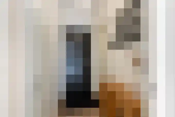 Catharina van Zoelenstraat 25 Rotterdam thumbnail 42