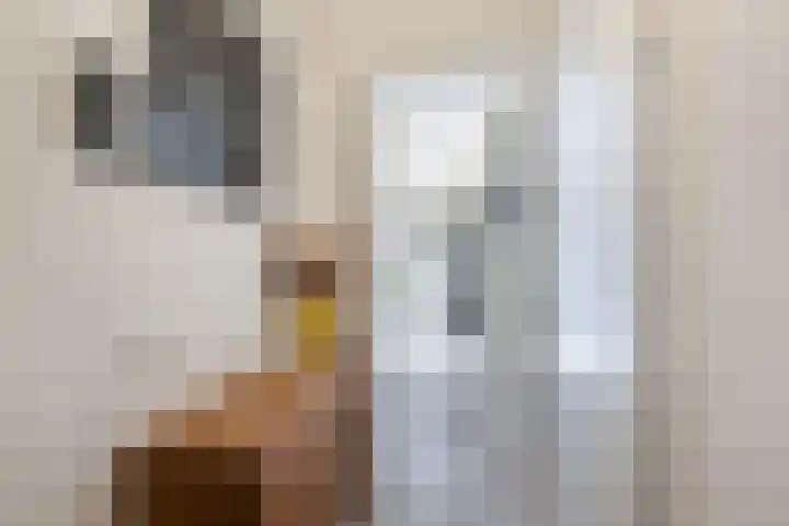 Catharina van Zoelenstraat 25 Rotterdam thumbnail 43