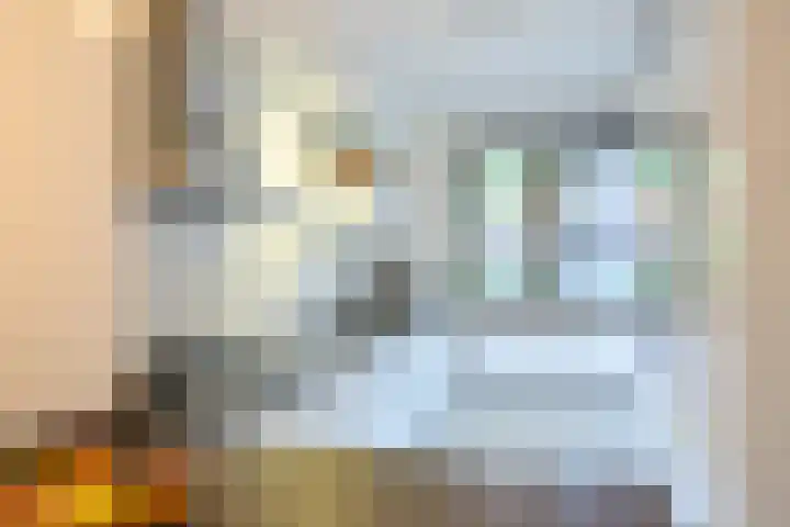 Catharina van Zoelenstraat 26 Rotterdam thumbnail 15