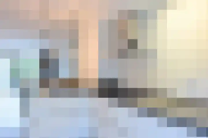 Catharina van Zoelenstraat 26 Rotterdam thumbnail 17