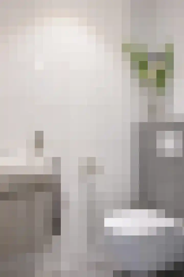 Catharina van Zoelenstraat 26 Rotterdam thumbnail 18