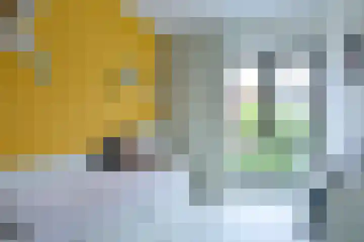 Catharina van Zoelenstraat 26 Rotterdam thumbnail 21