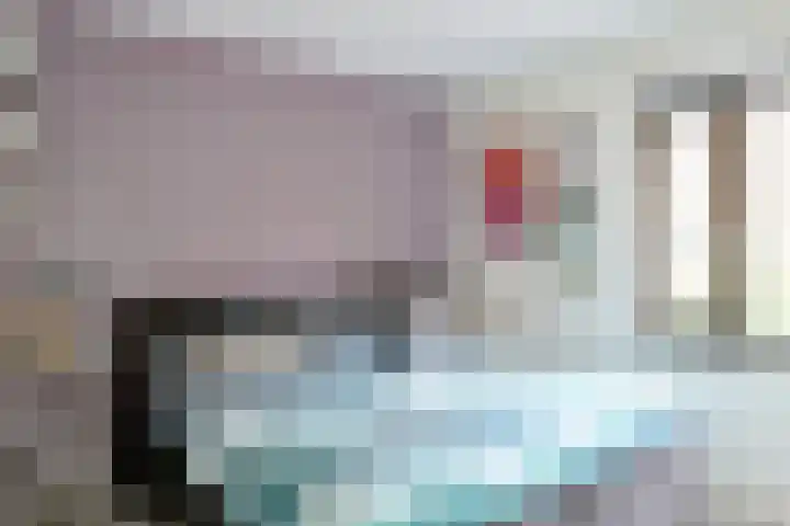 Catharina van Zoelenstraat 26 Rotterdam thumbnail 26