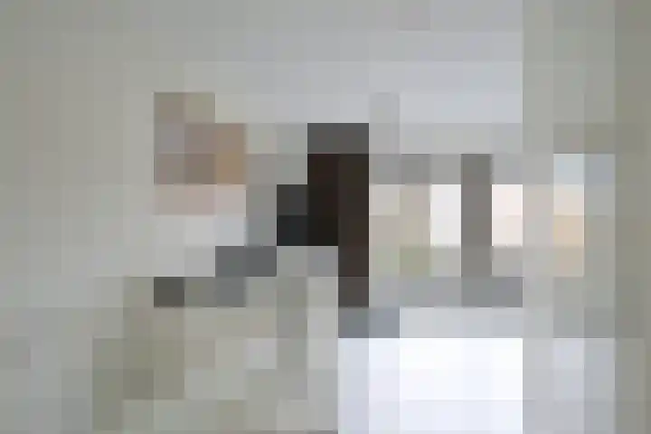 Catharina van Zoelenstraat 26 Rotterdam thumbnail 27