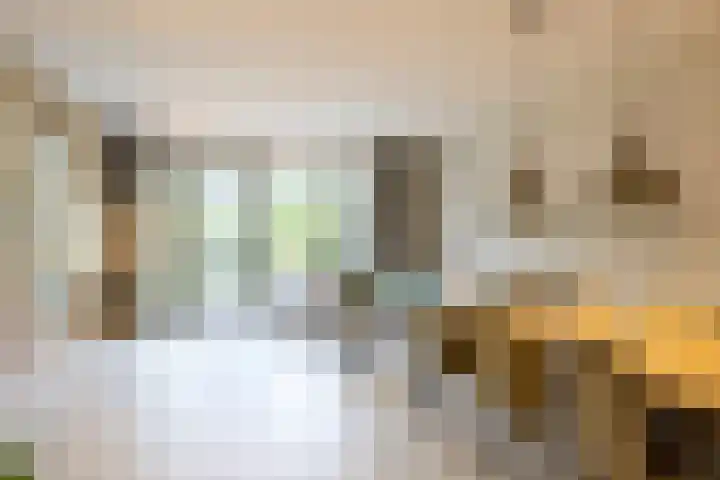 Catharina van Zoelenstraat 26 Rotterdam thumbnail 8