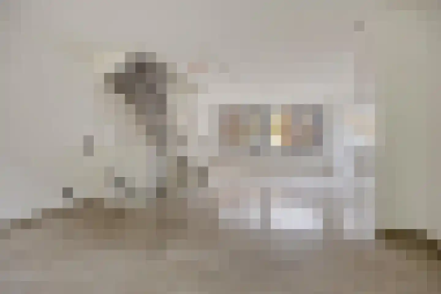 Catharina van Zoelenstraat 63 Rotterdam thumbnail 11
