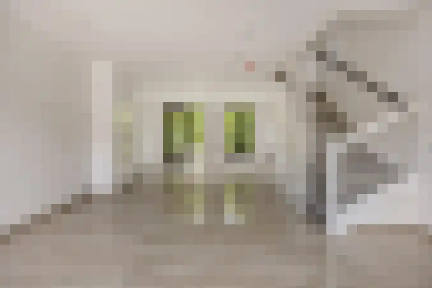 Catharina van Zoelenstraat 63 Rotterdam thumbnail 12