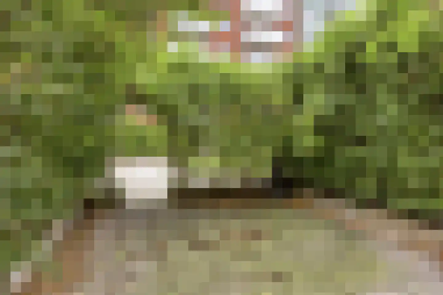 Catharina van Zoelenstraat 63 Rotterdam thumbnail 13