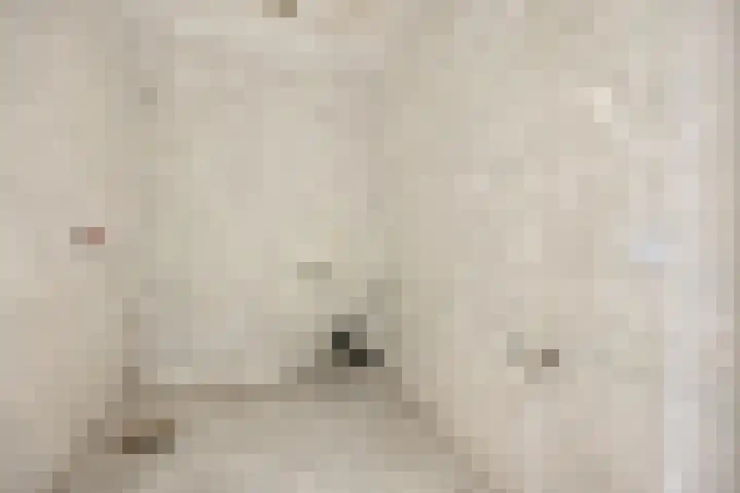 Catharina van Zoelenstraat 63 Rotterdam thumbnail 34
