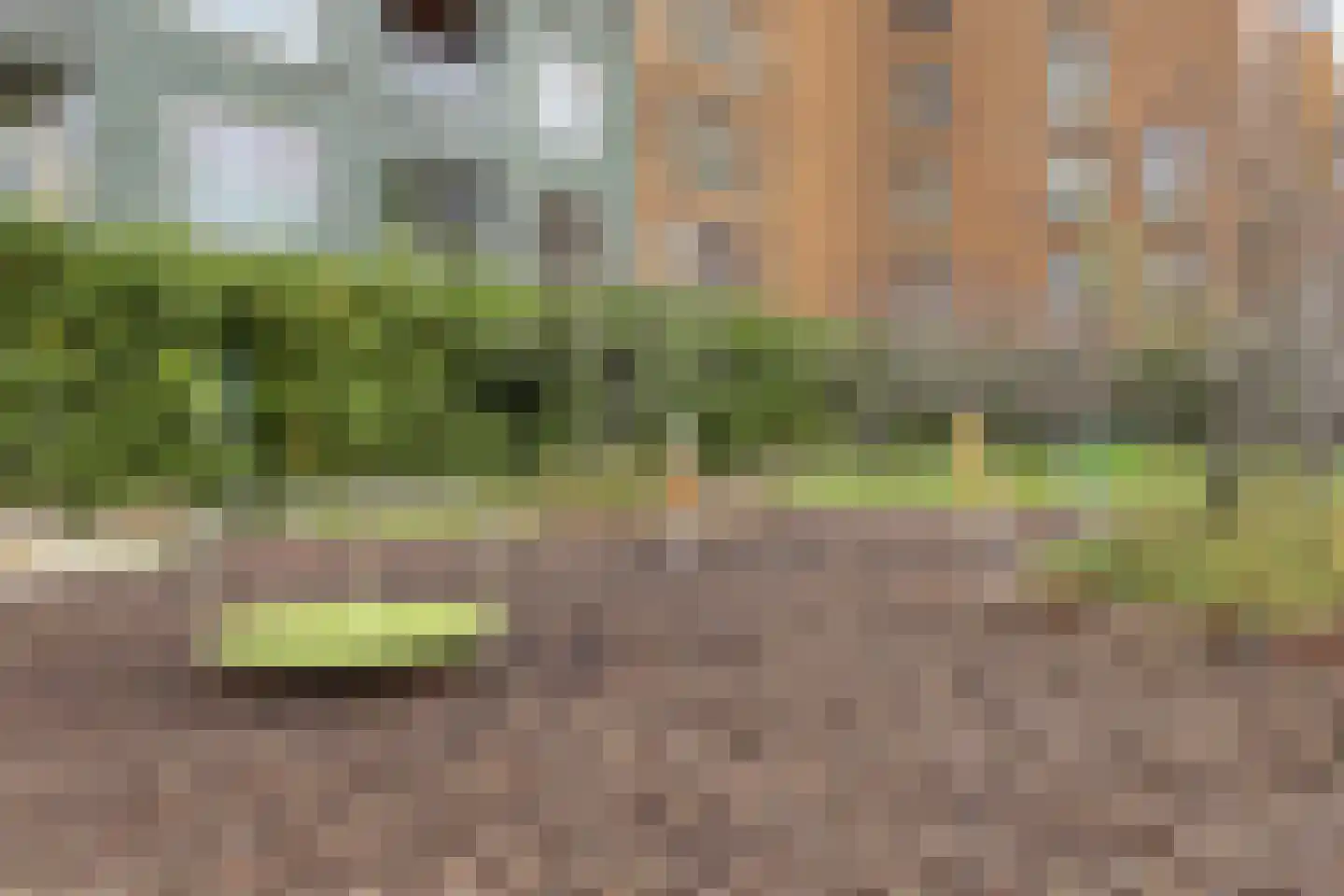 Catharina van Zoelenstraat 63 Rotterdam thumbnail 37