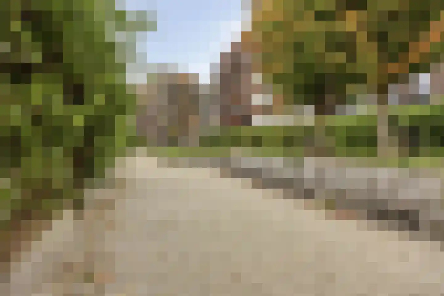 Catharina van Zoelenstraat 63 Rotterdam thumbnail 38