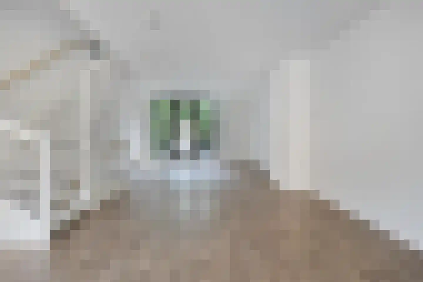 Catharina van Zoelenstraat 67 Rotterdam thumbnail 11