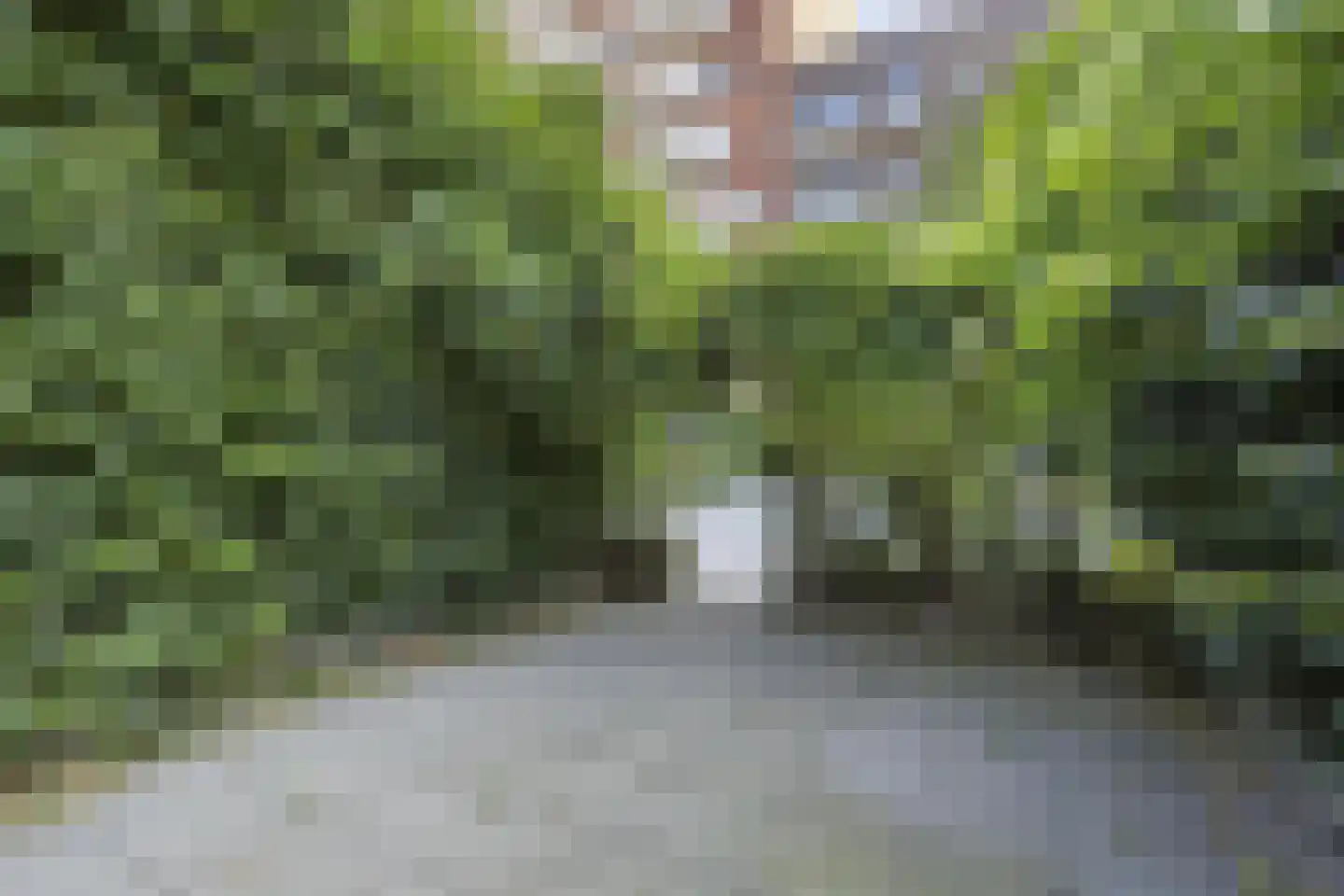 Catharina van Zoelenstraat 67 Rotterdam thumbnail 26