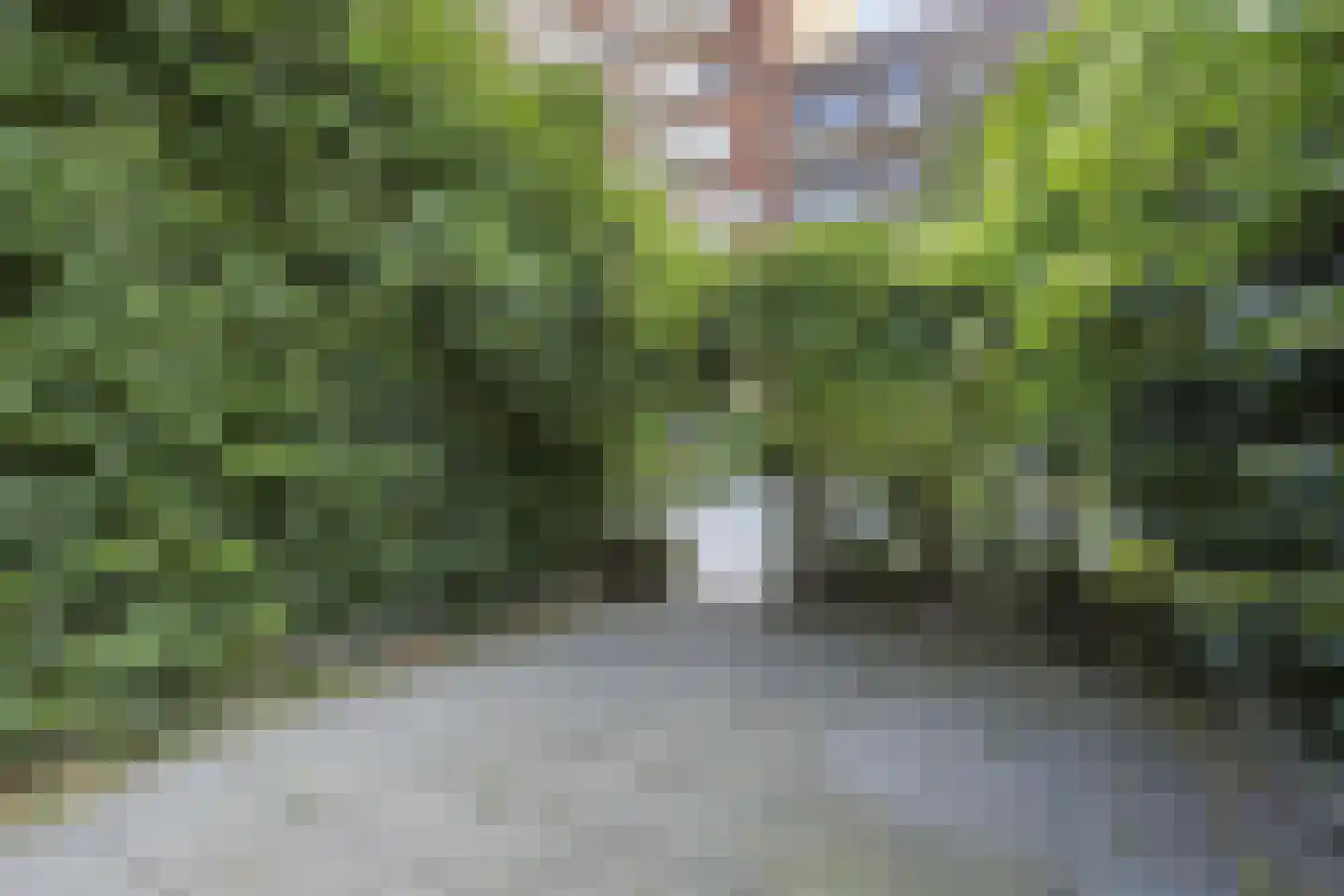 Catharina van Zoelenstraat 67 Rotterdam thumbnail 26