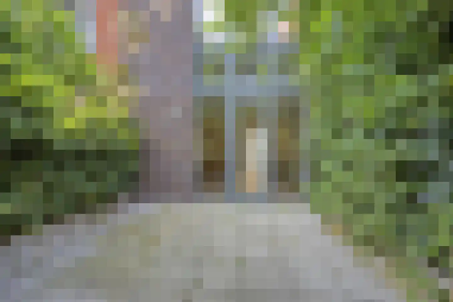 Catharina van Zoelenstraat 67 Rotterdam thumbnail 27