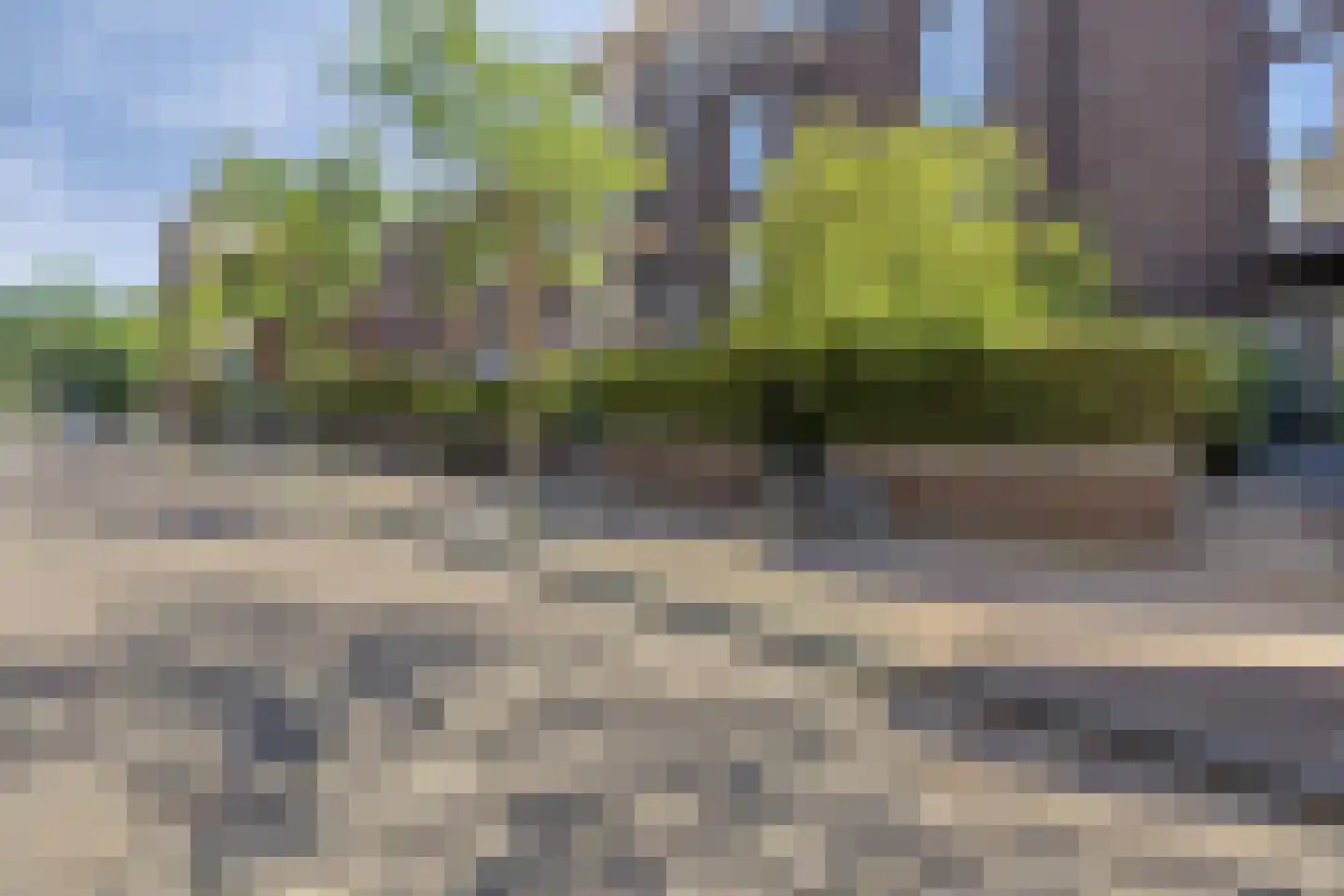 Catharina van Zoelenstraat 67 Rotterdam thumbnail 4
