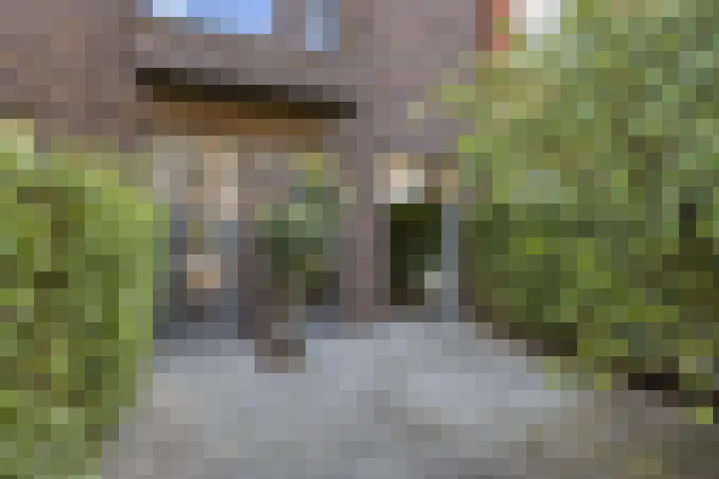 Catharina van Zoelenstraat 67 Rotterdam thumbnail 5