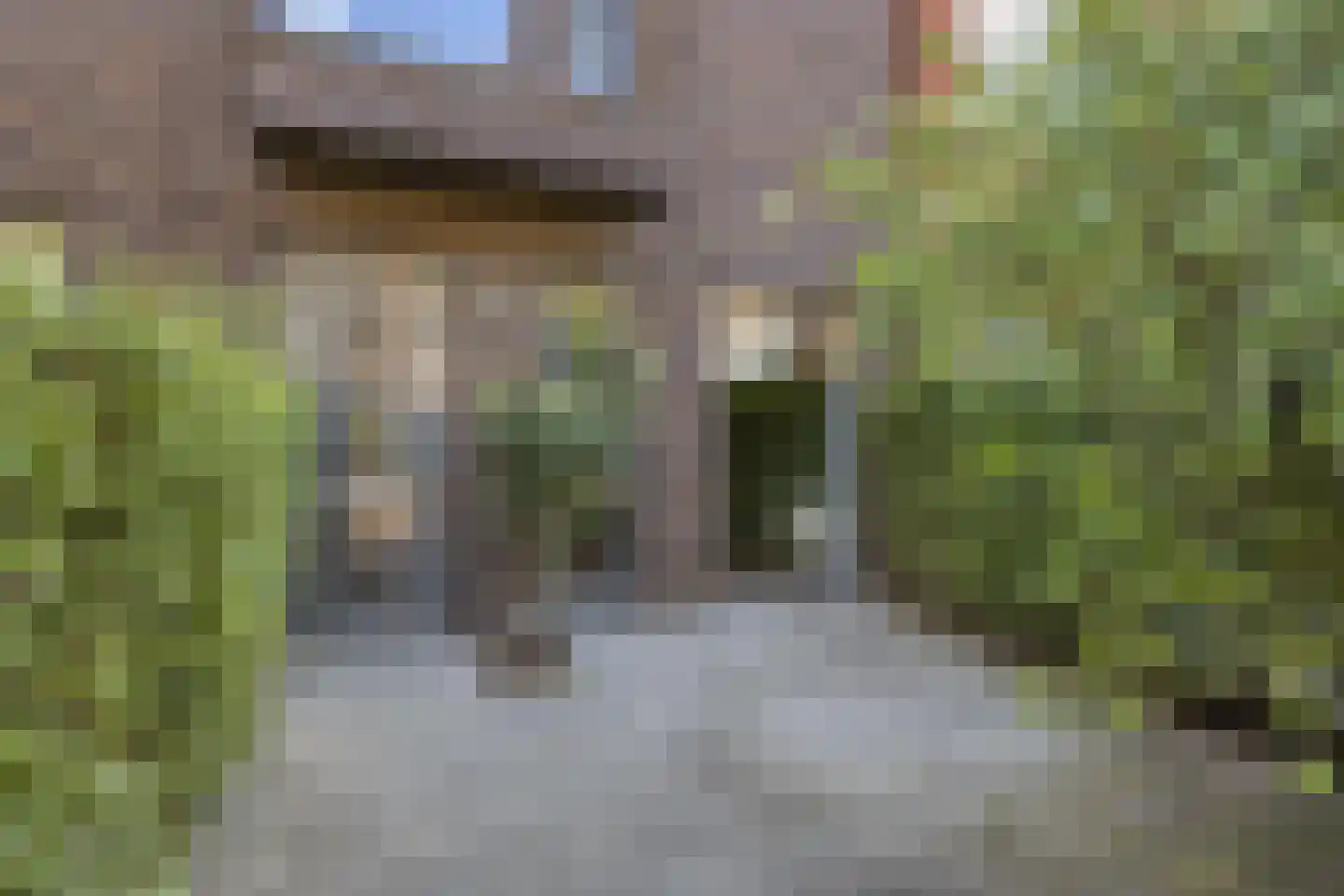 Catharina van Zoelenstraat 67 Rotterdam thumbnail 5