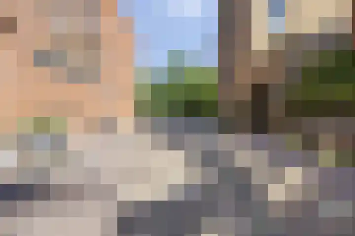 Catharina van Zoelenstraat 87 Rotterdam thumbnail 21